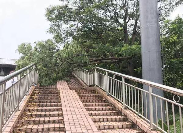 “天鴿”登陸了又怎樣，智彤印刷正常發(fā)放福利！